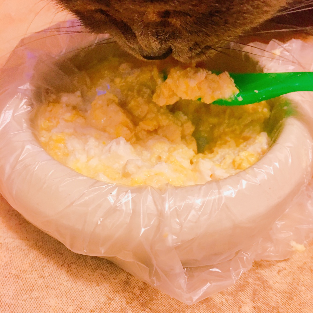[猫饭] 正餐之鸡肉起司
