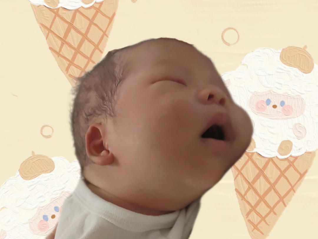 扁豆妈妈王崽