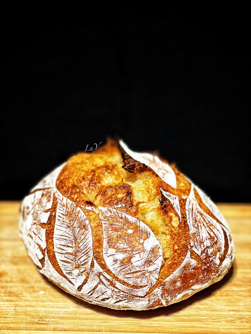 视频教程 天然酵种欧包 基础配方＆制作流程