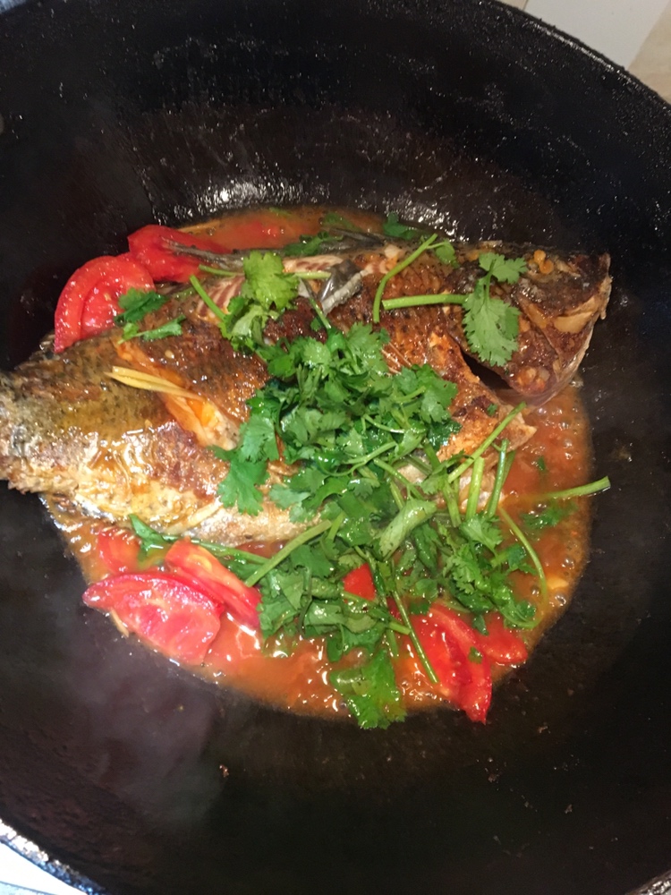 番茄🍅红烧罗非鱼的做法