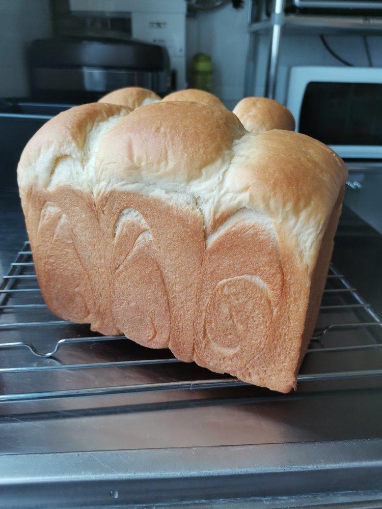 最好吃的牛奶吐司妃娟的100%中种北海道牛奶吐司奶油吐司