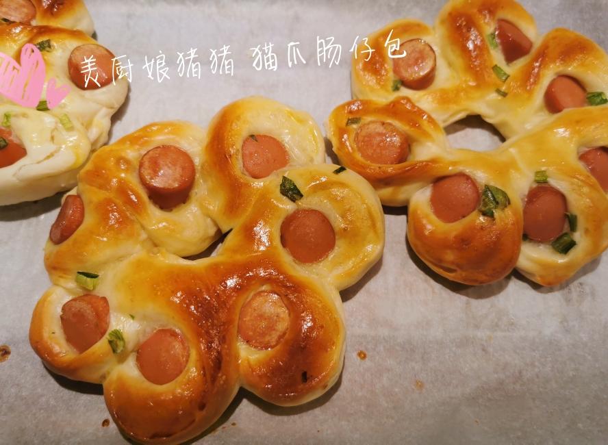 猫爪肠仔面包 - 汤种 中筋面粉 厨师机