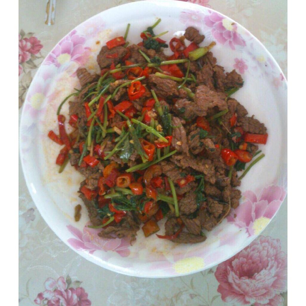 香菜炒牛肉（附菜根香做法）