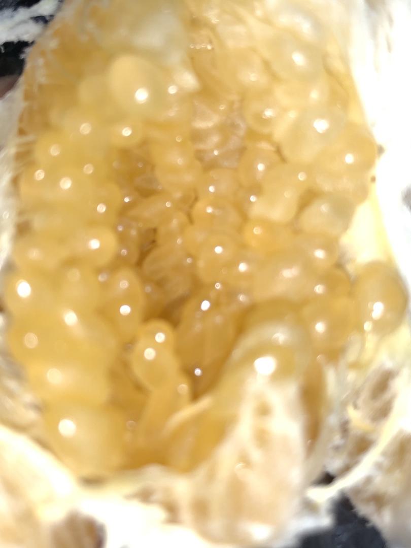 最近吃什么