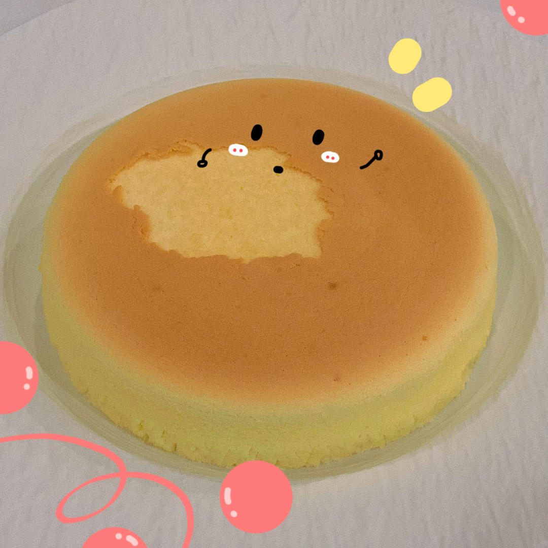 一只芝芝