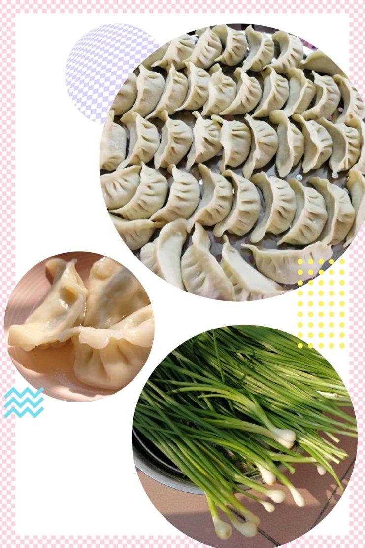 韭菜猪肉饺子(最简单最好吃又最多汁的饺子)