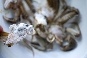 大闸蟹炒年糕-附选螃蟹诀窍的做法 步骤5