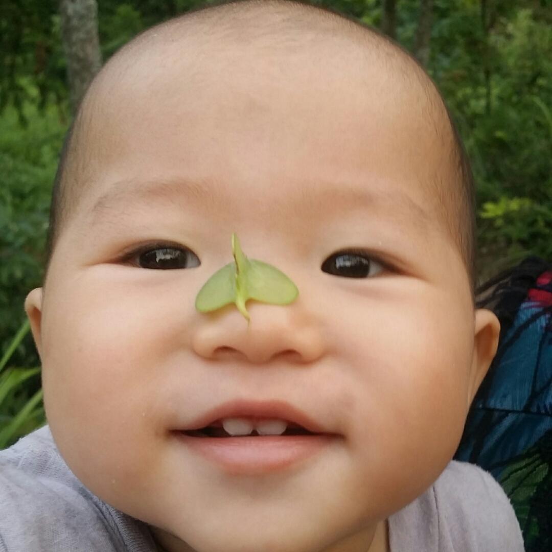 鑫妈的儿子