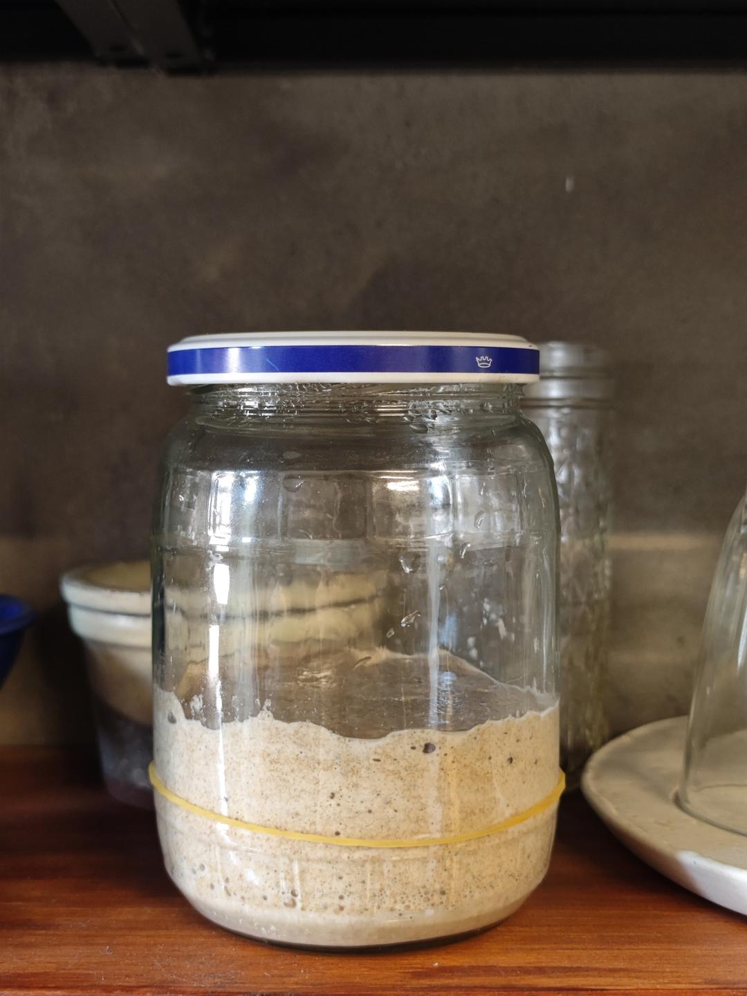 天然酵母鲁邦种培养日记（全麦面粉）成功