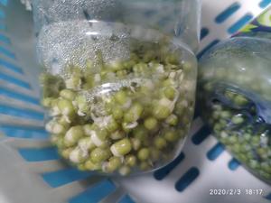 矿泉水瓶里生的绿豆芽的做法 步骤2
