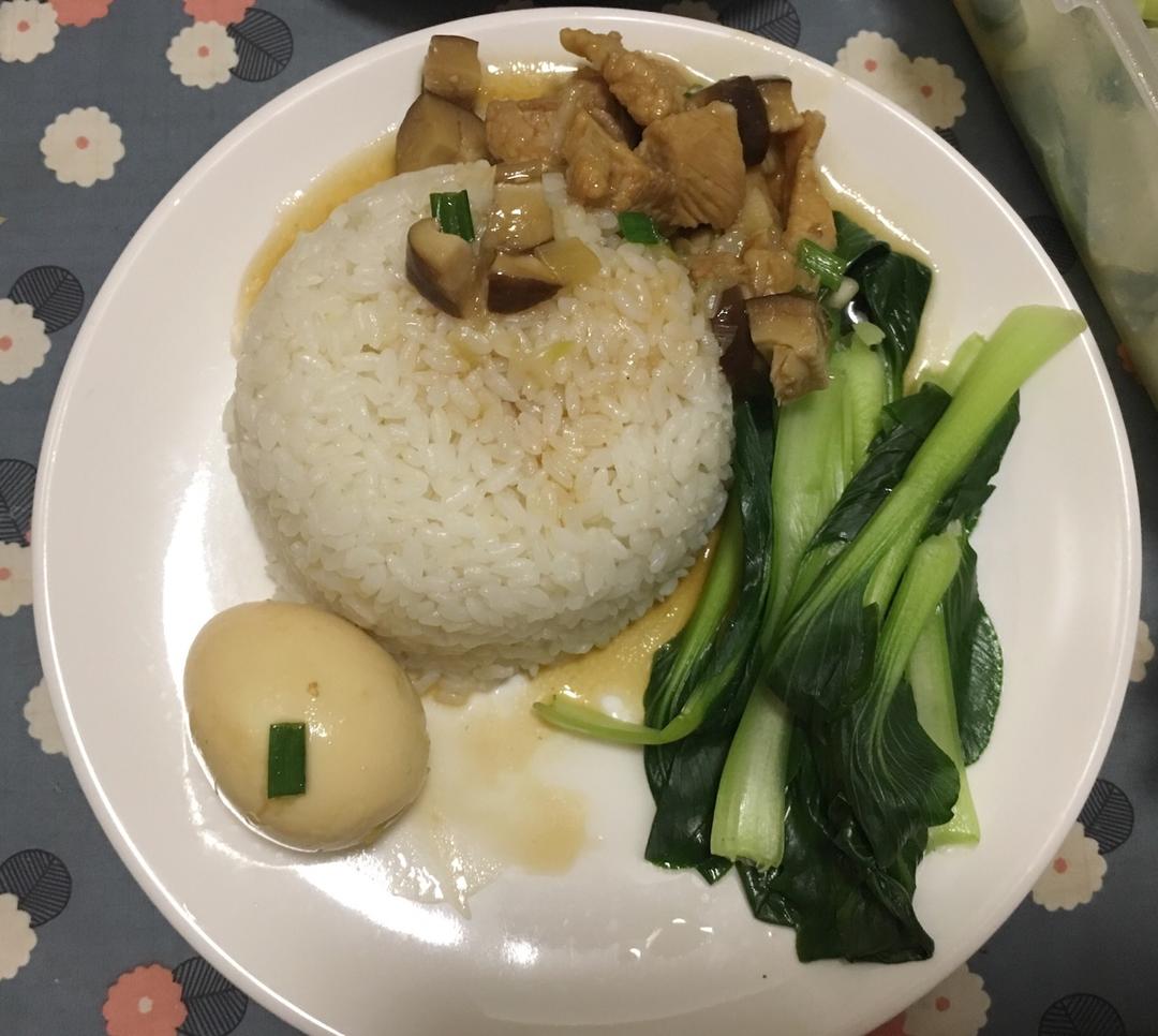 洋葱酥卤肉饭