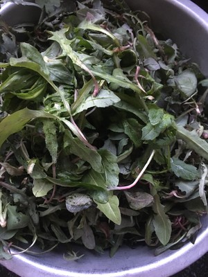 天然苦菜汤的做法步骤图 天然苦菜汤怎么做好吃 一颗糖 下厨房 天然苦菜汤的做法步骤图 天然苦菜汤怎么做好吃 一颗糖 下厨房