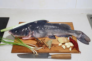 ㊙️可媲美探鱼的烤鮰鱼❗️鲜香滑嫩、刺又少、巨好吃😋的做法 步骤1