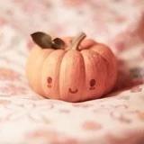 pumpkin_wang