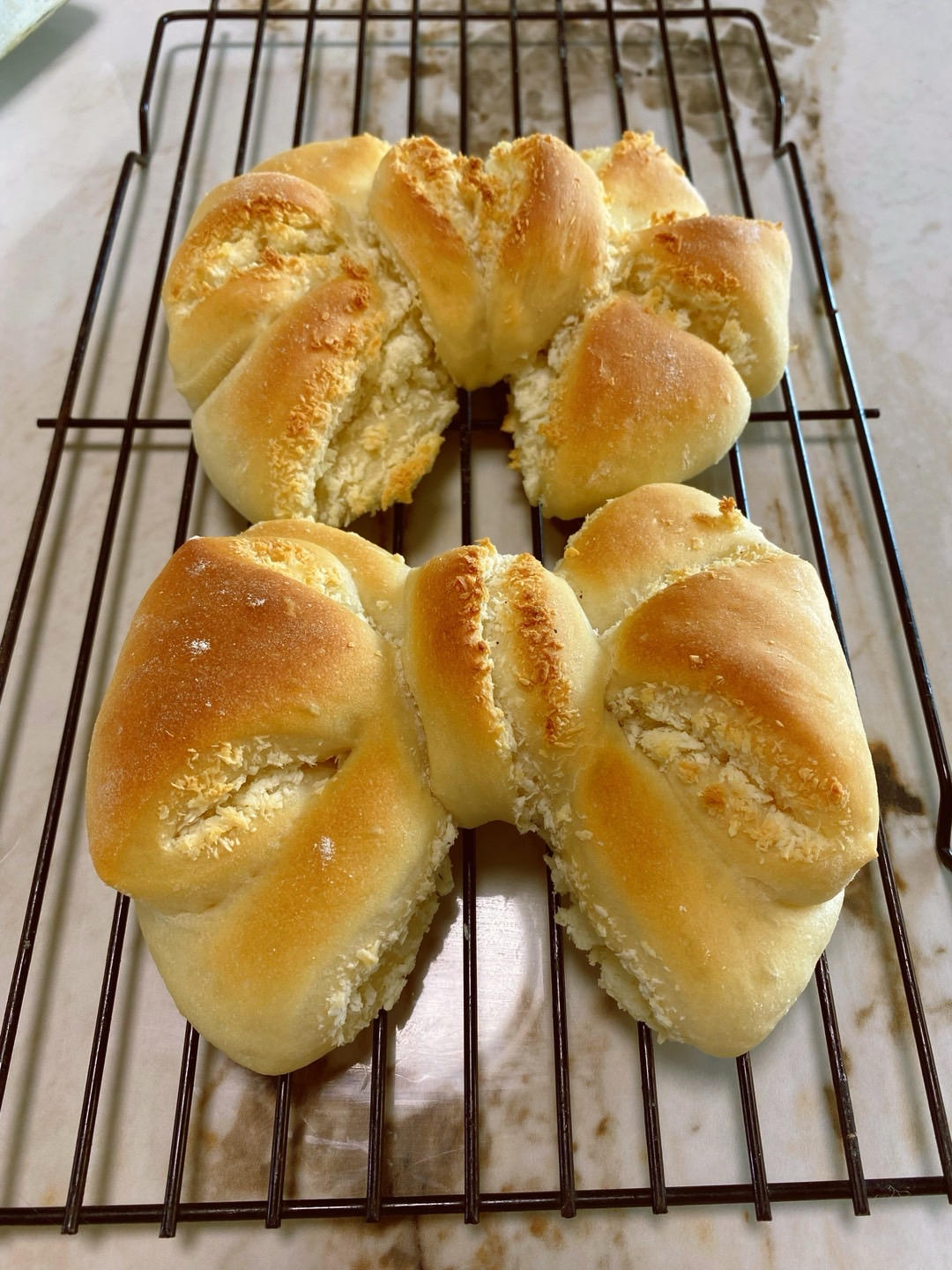 蝴蝶结🎀面包（南瓜泥椰蓉馅）