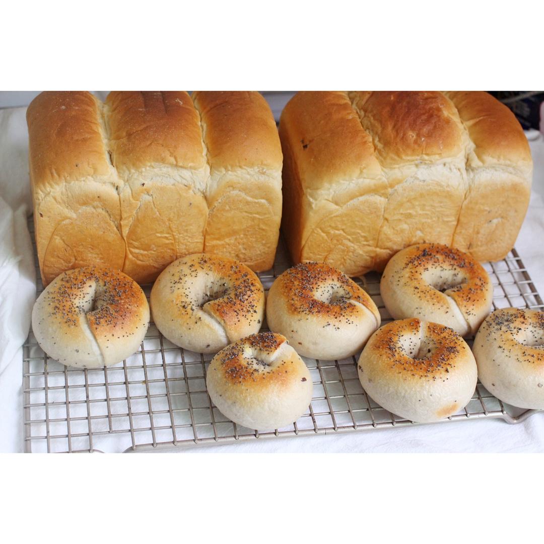 天然酵母原味贝果