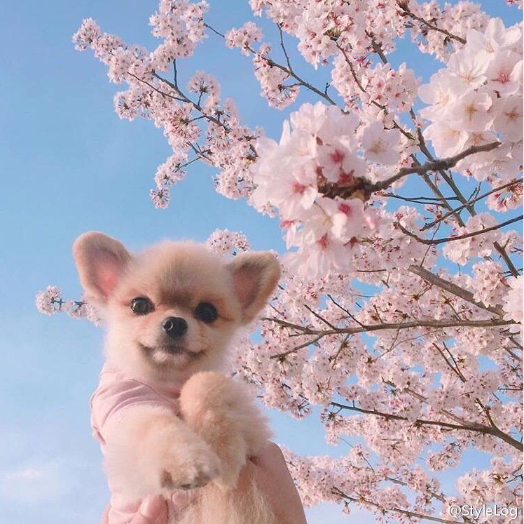 手机用户6222_q41o