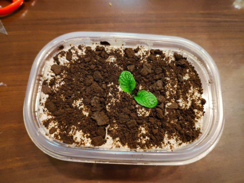 低糖不腻的奥利奥咸奶油蛋糕盒子