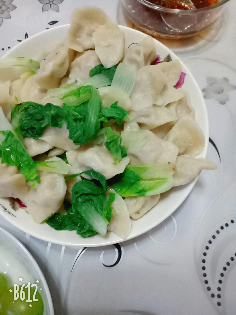 白菜鲜肉水饺