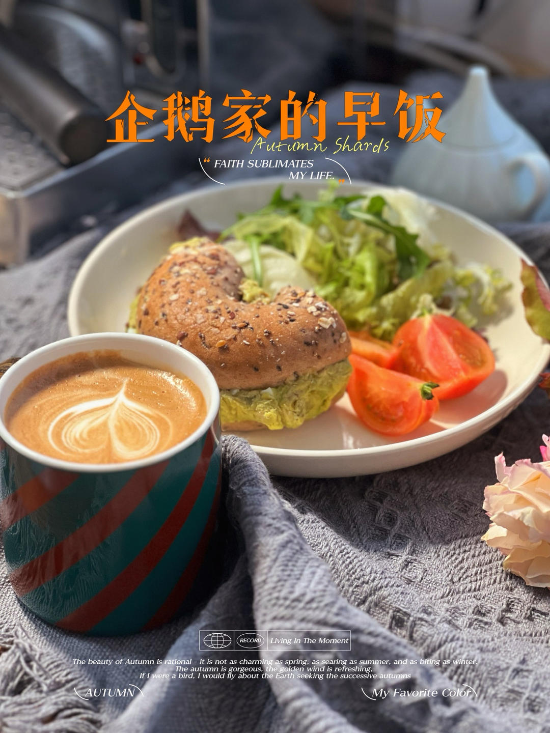 吃真的食物：金枪鱼鸡蛋牛油果杂粮贝果三明治