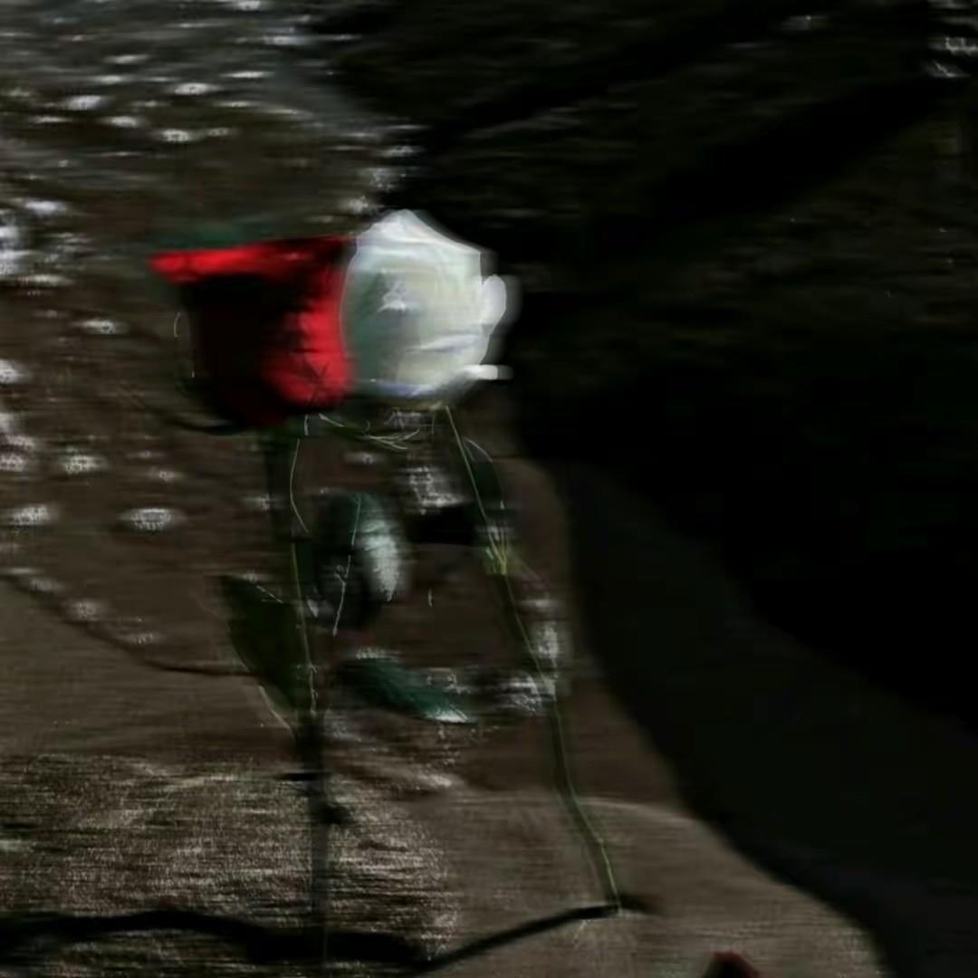 365天花式喂女友