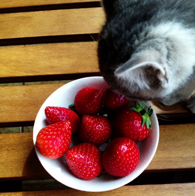 温暖的一人食o(*≧▽≦)ツ