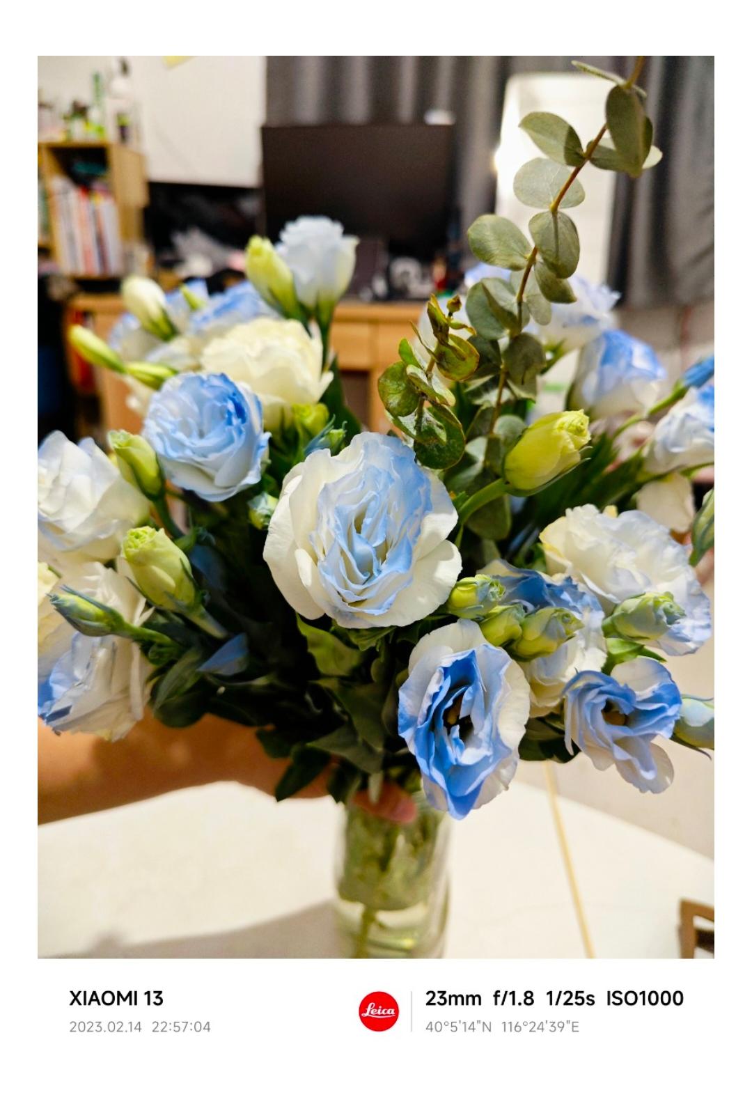 蓝莓果酱大棉花