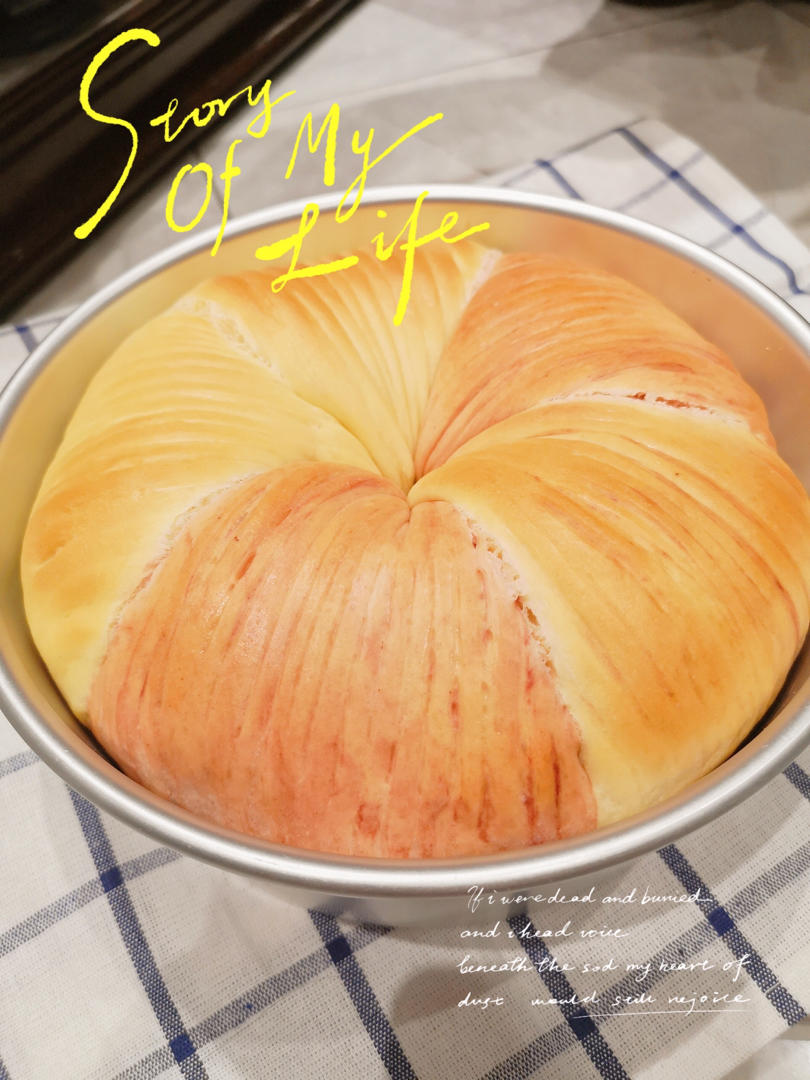 毛线球🧶面包
