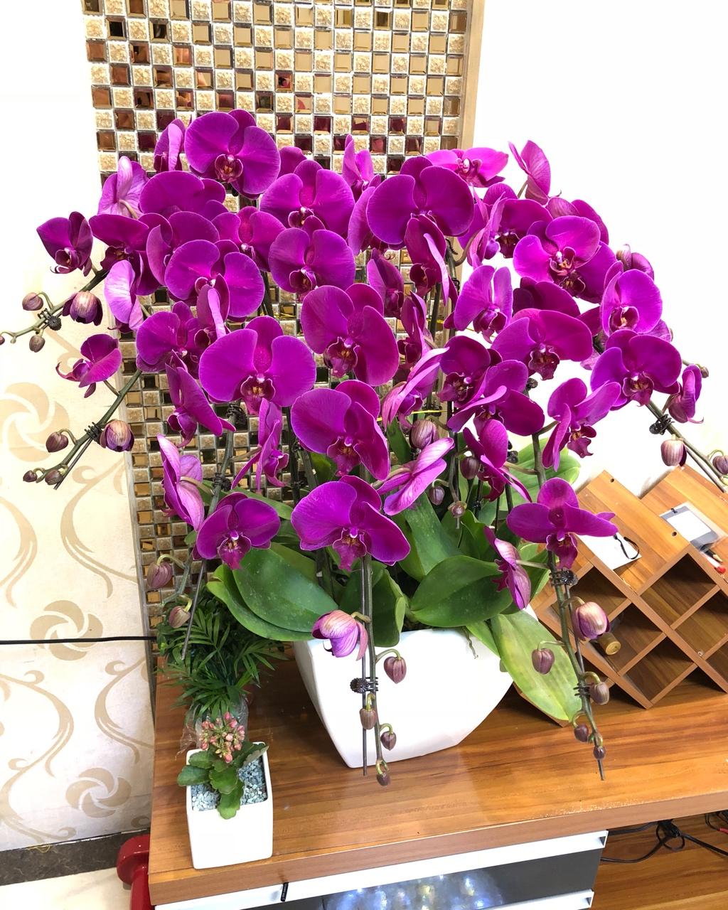 记录减脂营养餐（私人记录篇）