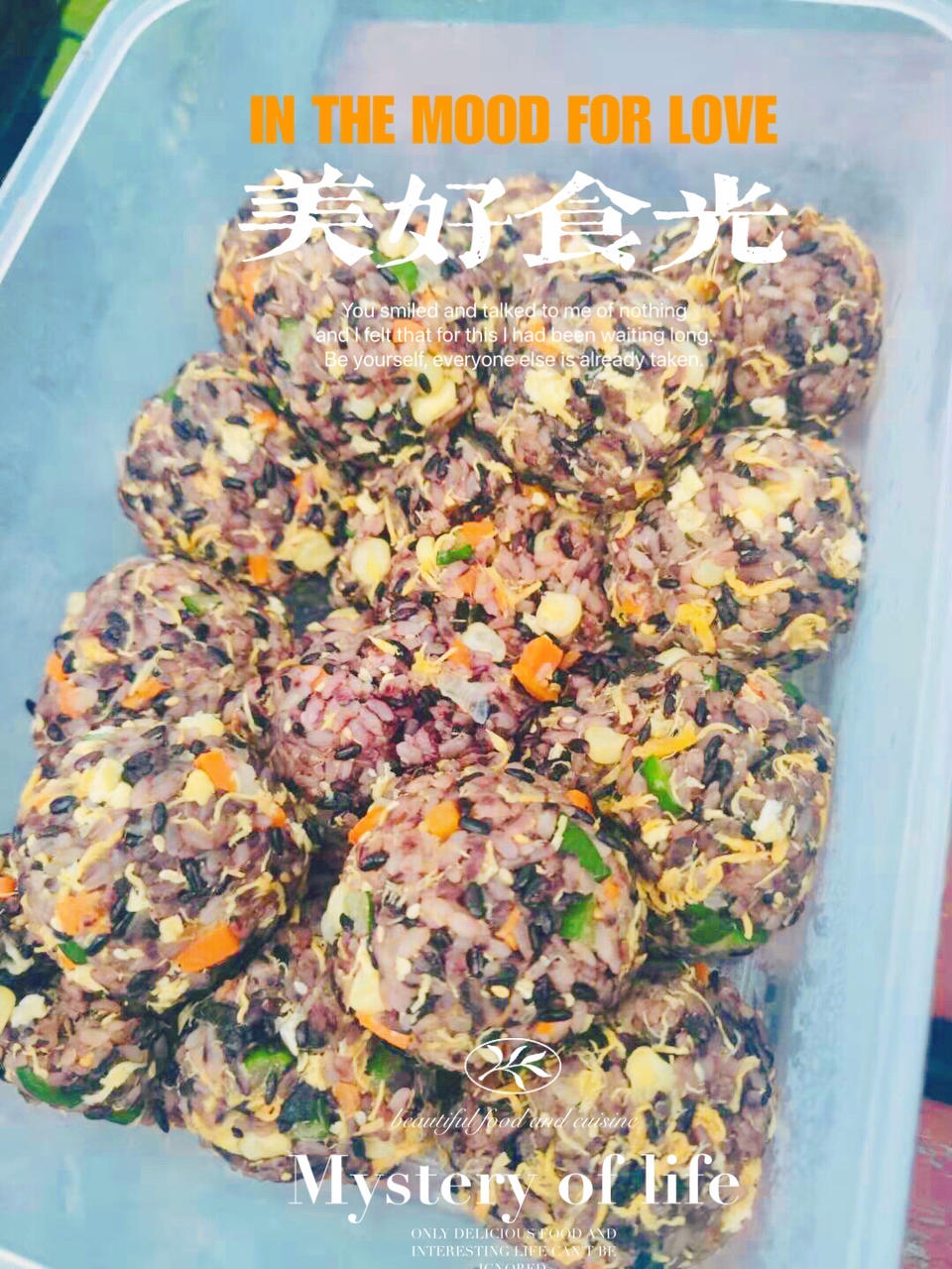肉松海苔饭团🍙