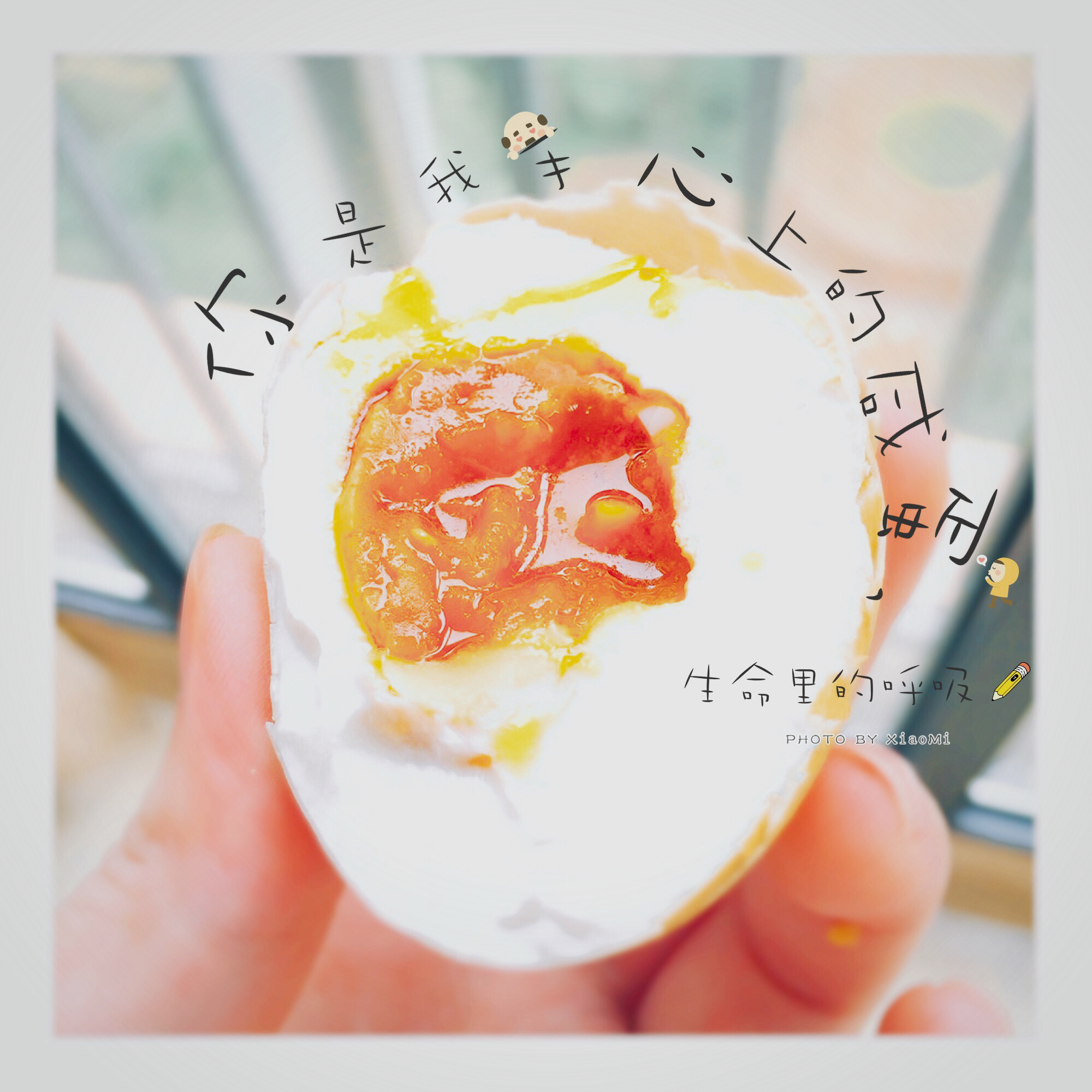 自制流油的咸鸭蛋