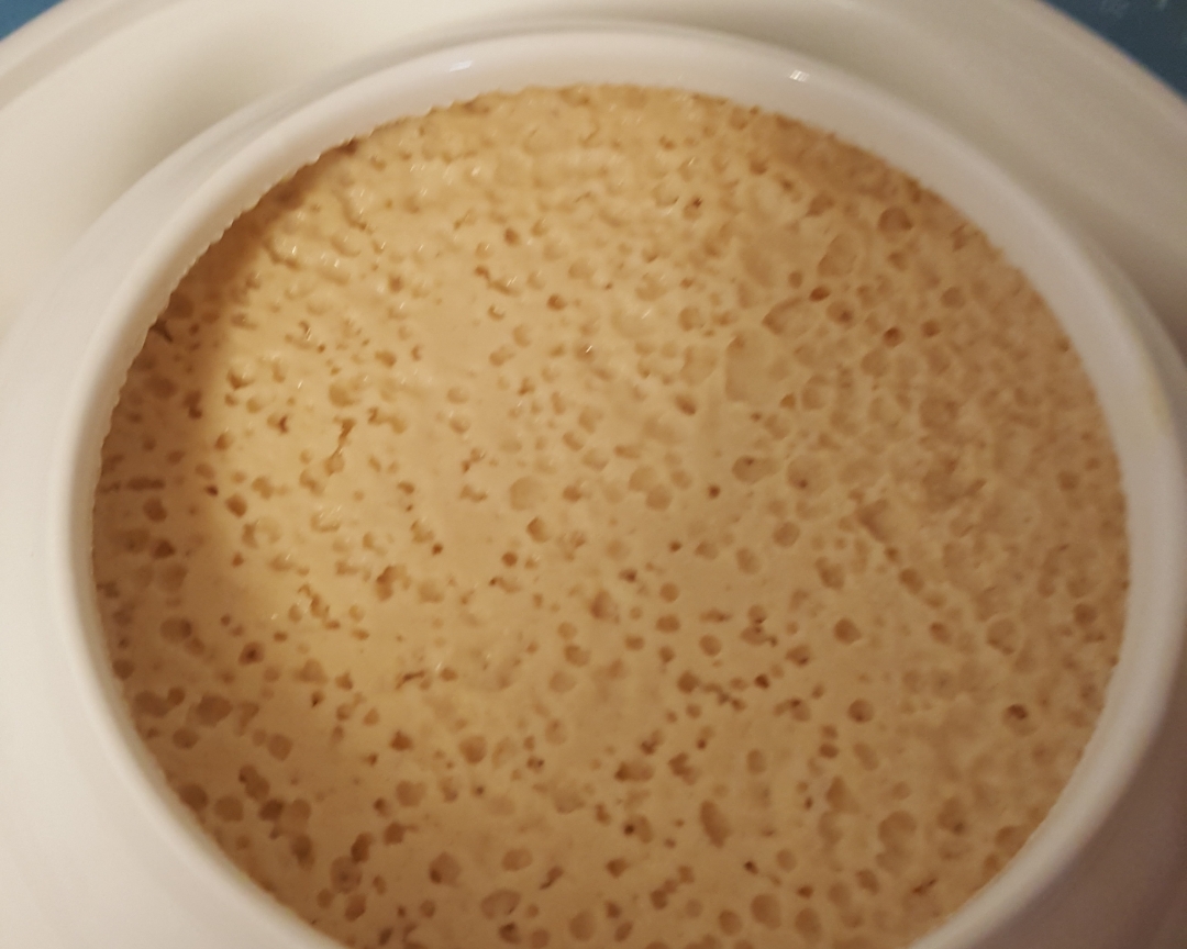 自制黄豆浆酸奶的做法