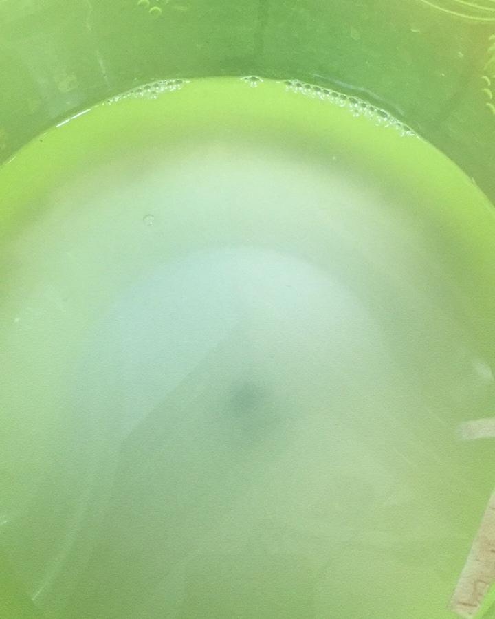 酸笋