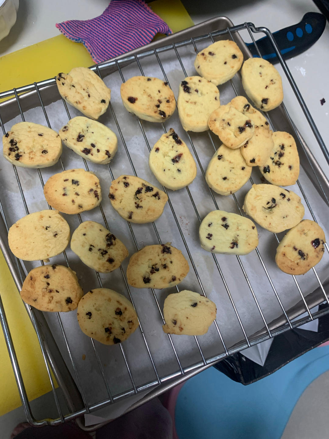 蔓越莓饼干 新手也不怕