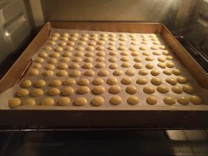 蛋黄溶豆的做法 步骤10