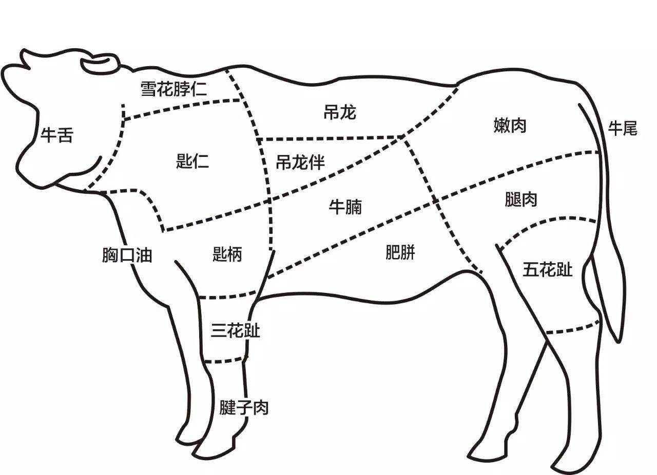 牛肉的部位图解与做法(来自度娘)的做法 步骤9