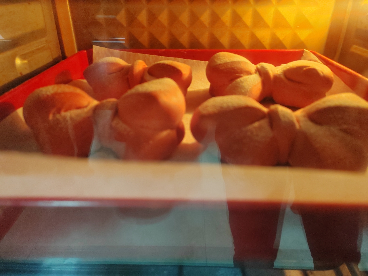 火龙果蝴蝶结面包（一次发酵）