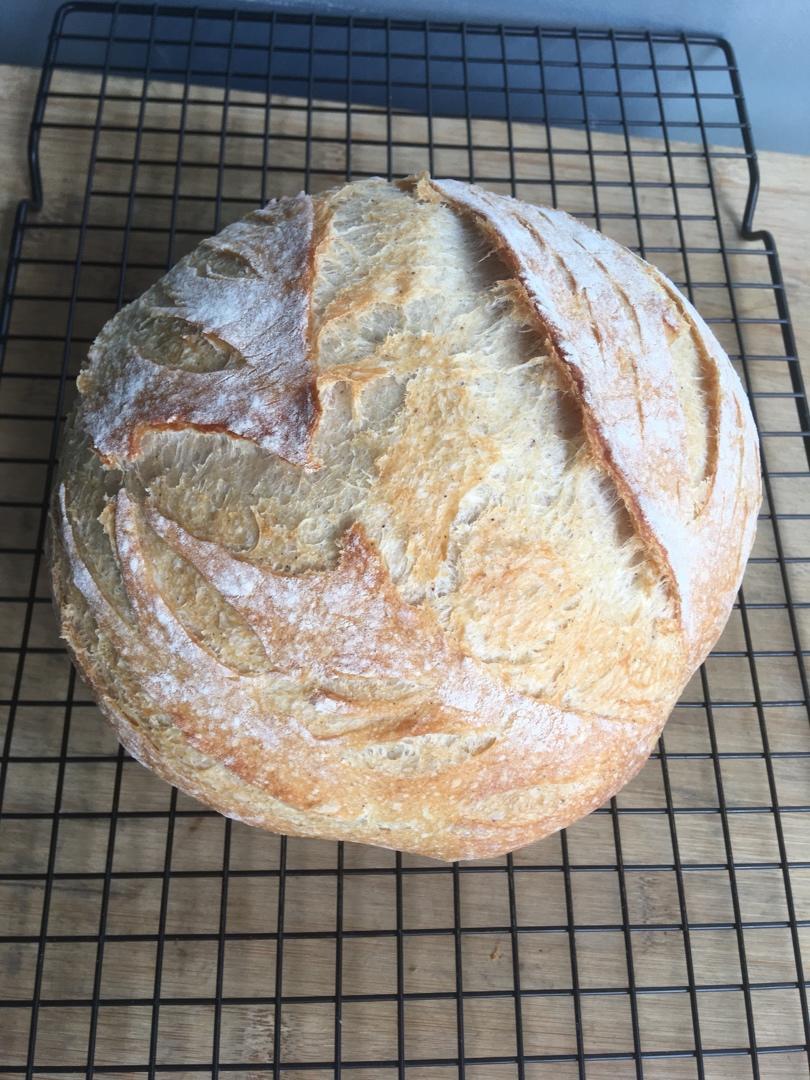 欧包 波兰种 割包视频