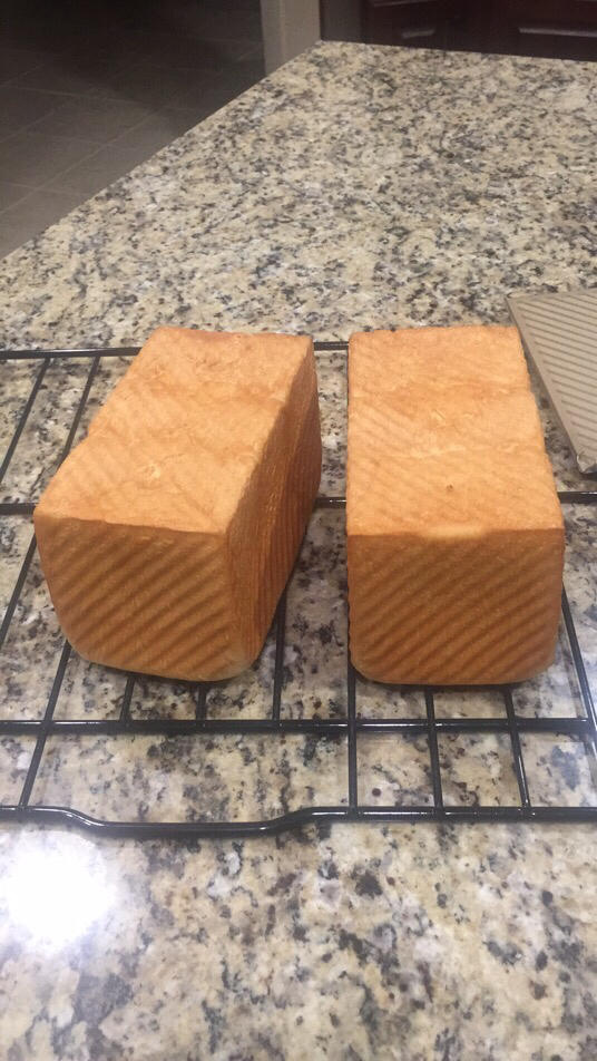 Thera 万用牛奶面包面团（原无敌牛奶土司）