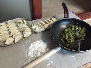 韭菜白菜虾皮猪肉饺子的做法 步骤2