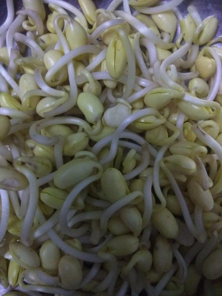 水发黄豆芽