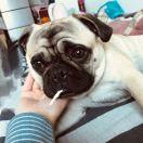 手机用户0656_m5v0