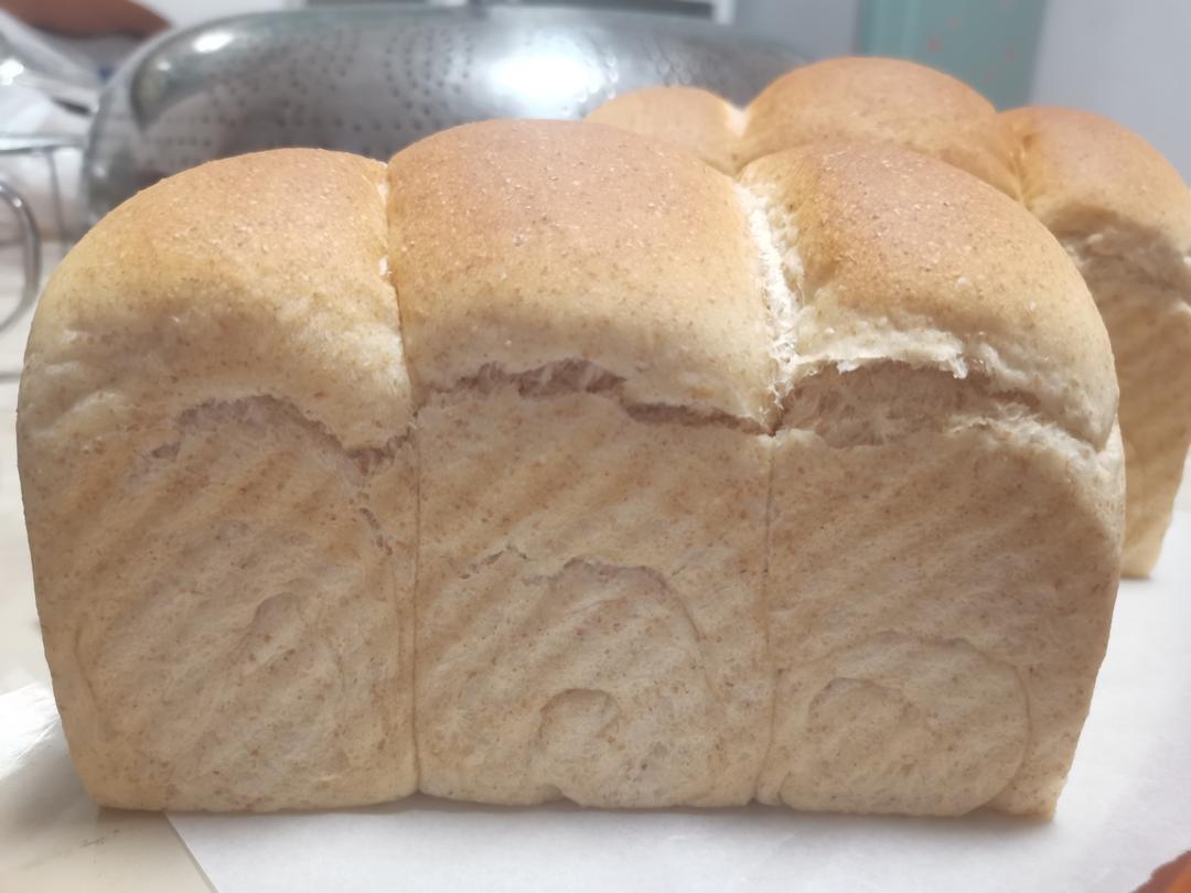 全麦轻吐司｜低油低糖中种法