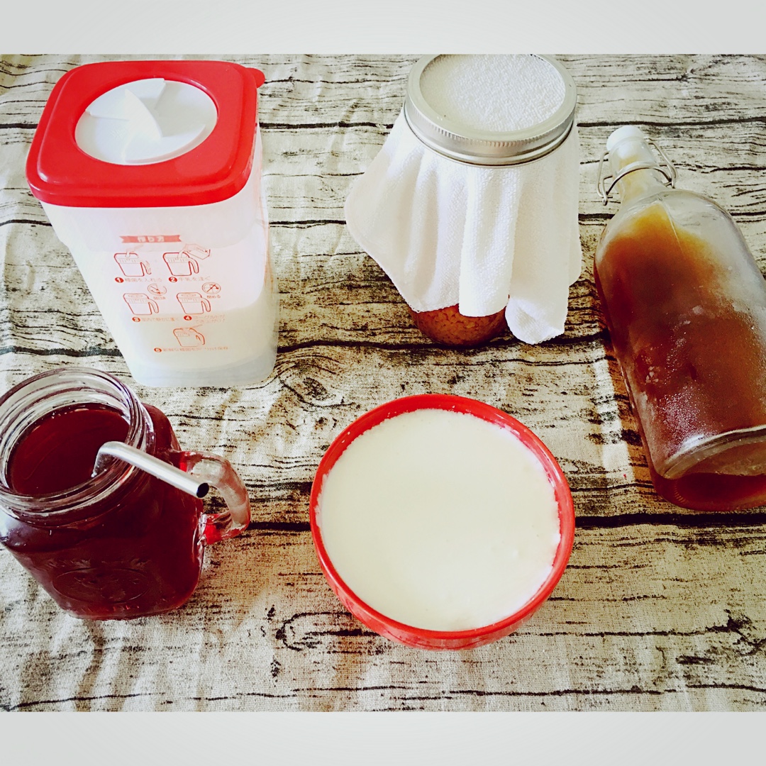 开菲尔酸奶喂养详攻略（milk kefir）丨发酵·奶类