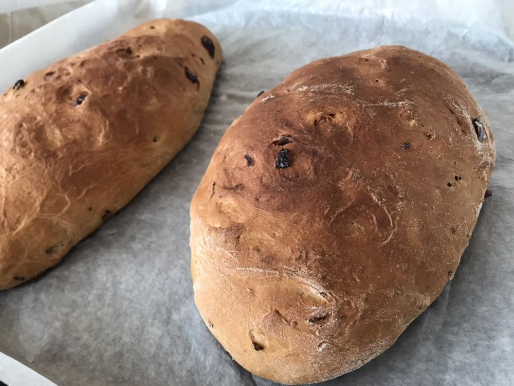 全麦蔓越莓软式欧包（免揉）