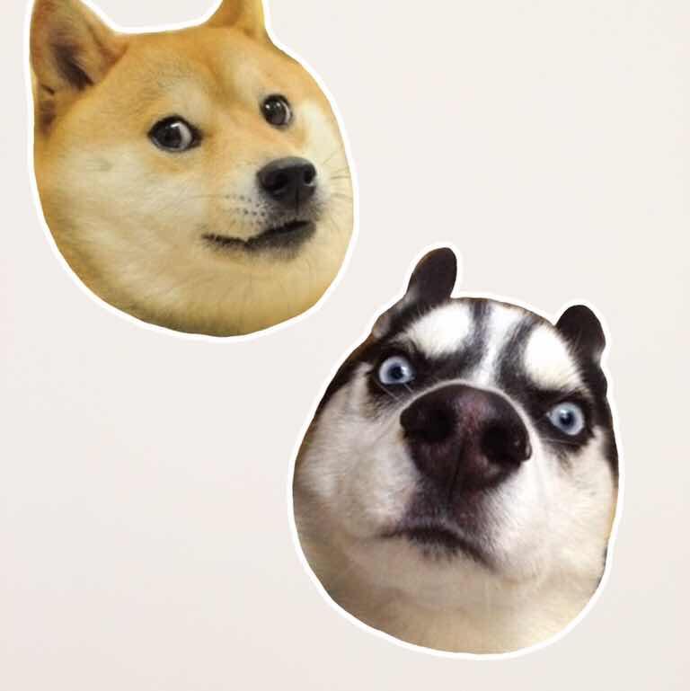蜡笔小tt