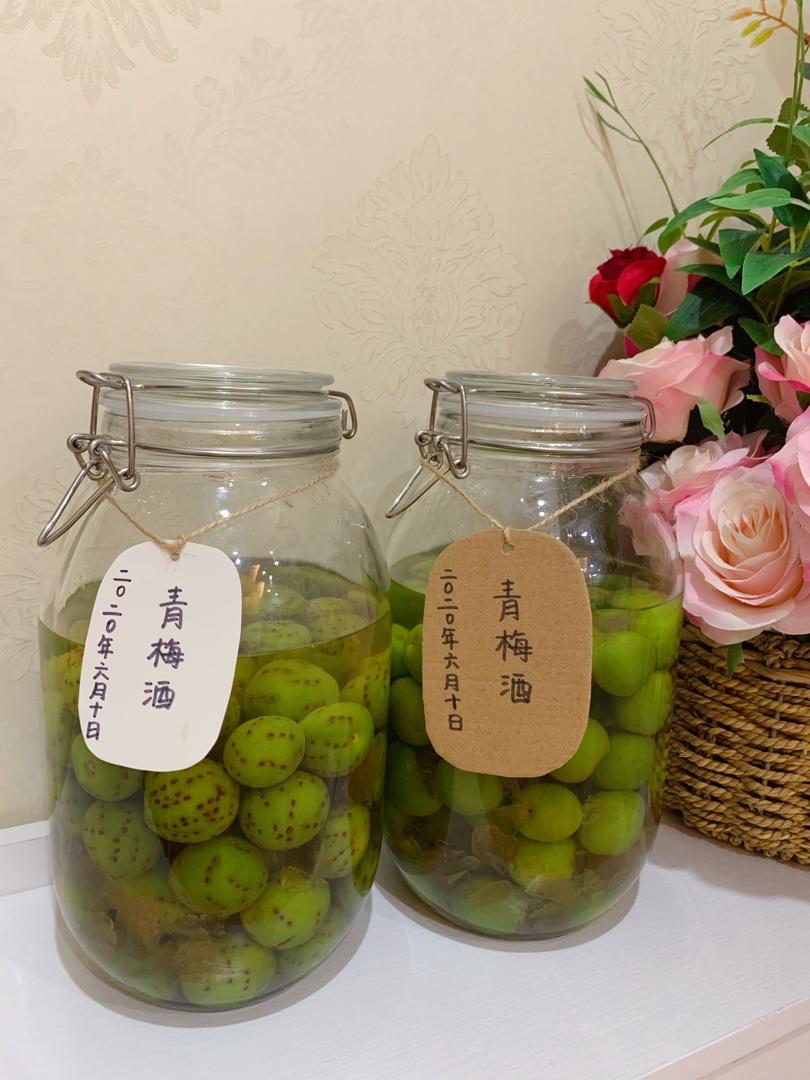 零失败【青梅酒 & 梅子露】梅子的沉淀岁月