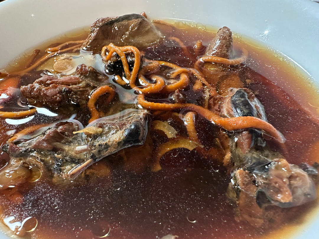虫草乌鸡汤（电饭锅版）
