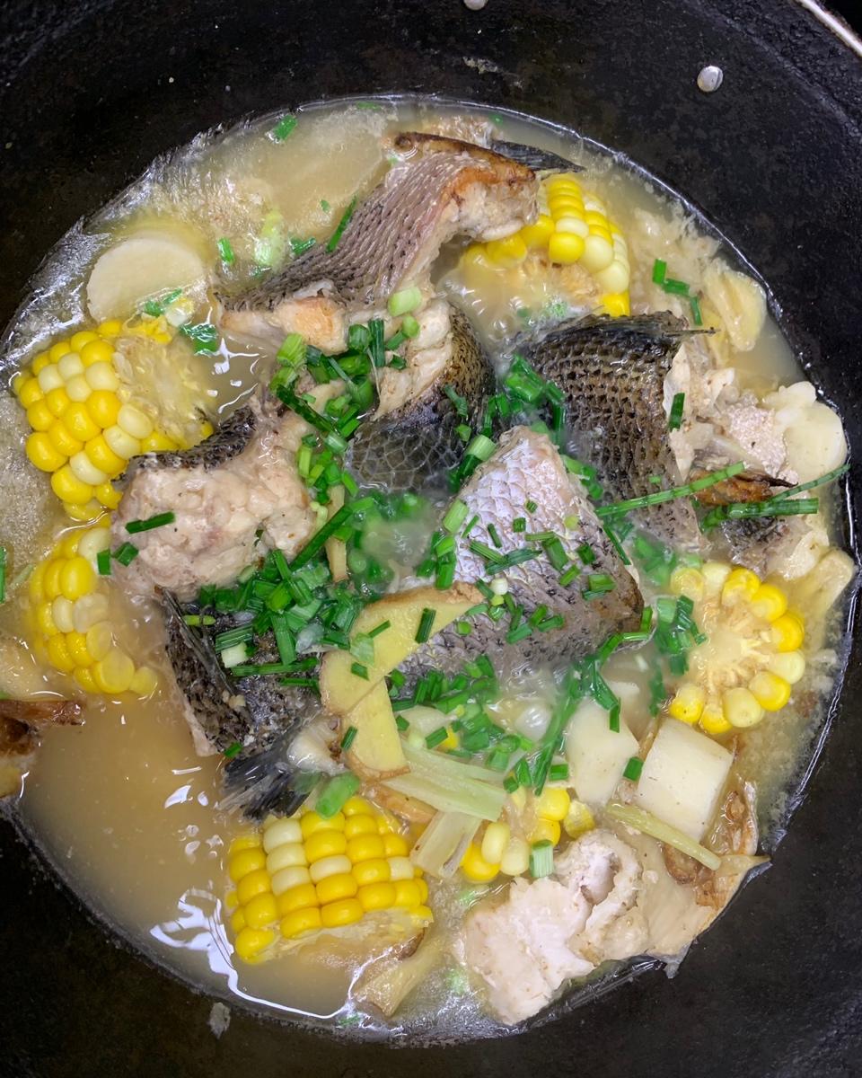 黑鱼汤