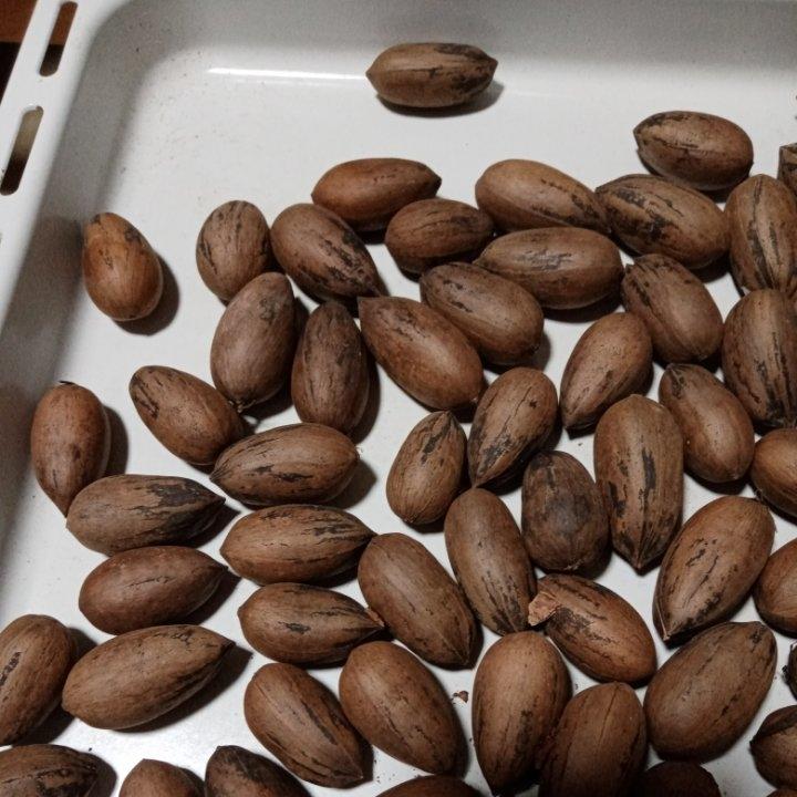 烤箱烘烤坚果碧根果🌰